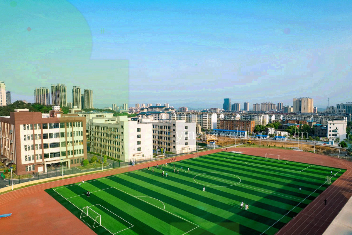 由发光节点与分支箭头组成的检索排查路径示意图